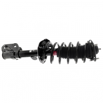 Suspension Strut and Coil Spring Assembly