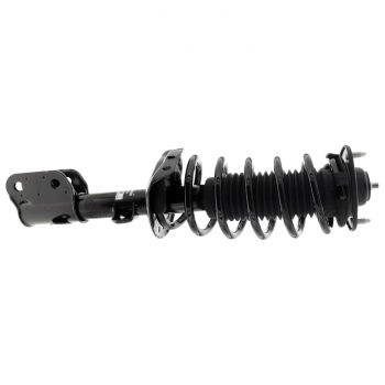 Suspension Strut and Coil Spring Assembly
