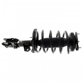Suspension Strut and Coil Spring Assembly