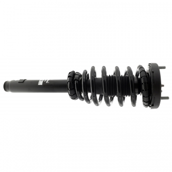 Suspension Strut and Coil Spring Assembly