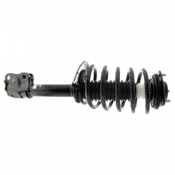 Suspension Strut and Coil Spring Assembly