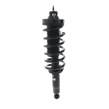 Suspension Strut and Coil Spring Assembly