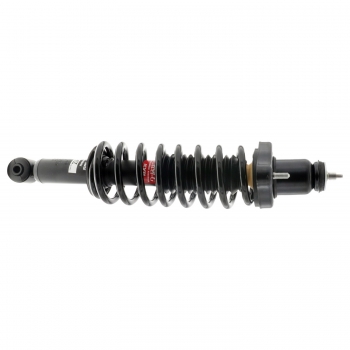 Suspension Strut and Coil Spring Assembly