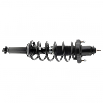 Suspension Strut and Coil Spring Assembly