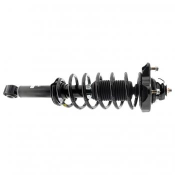 Suspension Strut and Coil Spring Assembly