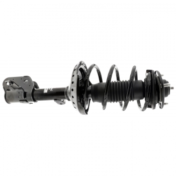 Suspension Strut and Coil Spring Assembly