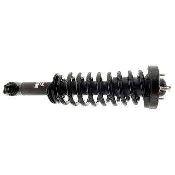Suspension Strut and Coil Spring Assembly