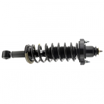 Suspension Strut and Coil Spring Assembly