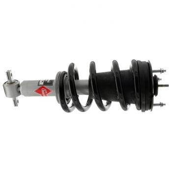 Suspension Strut and Coil Spring Assembly