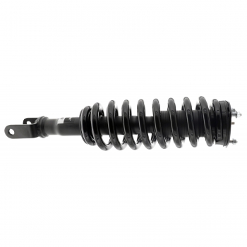 Suspension Strut and Coil Spring Assembly