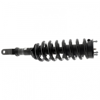 Suspension Strut and Coil Spring Assembly