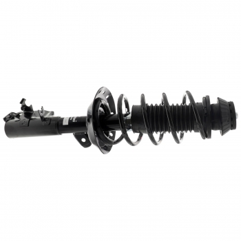 Suspension Strut and Coil Spring Assembly