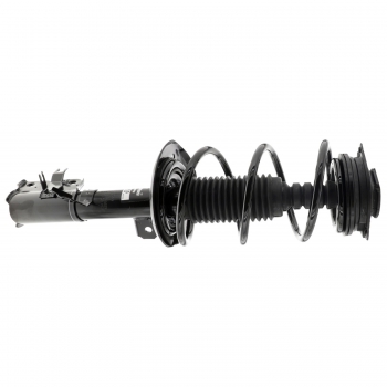 Suspension Strut and Coil Spring Assembly
