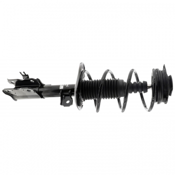 Suspension Strut and Coil Spring Assembly