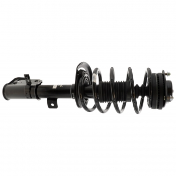Suspension Strut and Coil Spring Assembly
