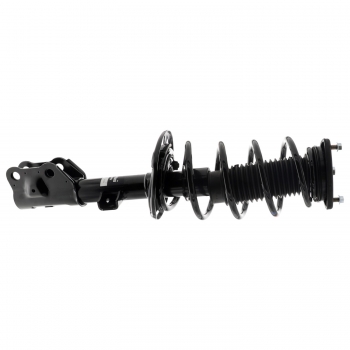 Suspension Strut and Coil Spring Assembly