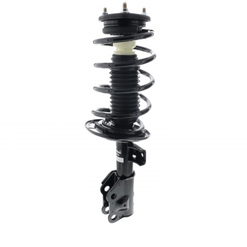 Suspension Strut and Coil Spring Assembly