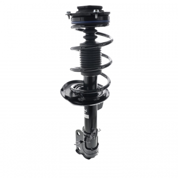 Suspension Strut and Coil Spring Assembly