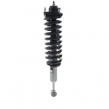 Suspension Strut and Coil Spring Assembly
