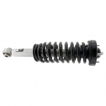 Suspension Strut and Coil Spring Assembly