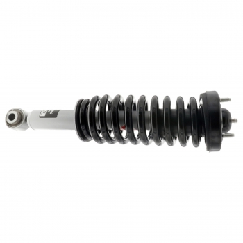 Suspension Strut and Coil Spring Assembly