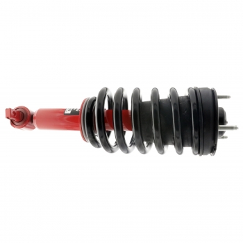 Suspension Strut and Coil Spring Assembly