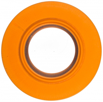 Engine Air Filter