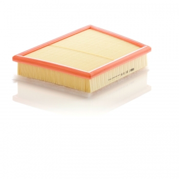 Engine Air Filter