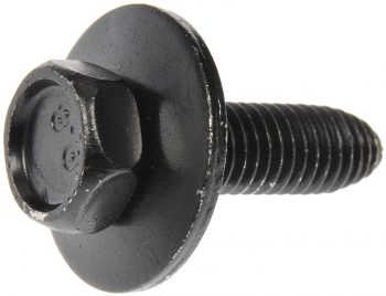 Body Bolt