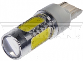 Back Up Light Bulb