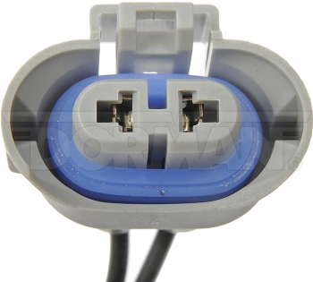 Headlight Socket