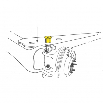 Alignment Caster / Camber Bushing