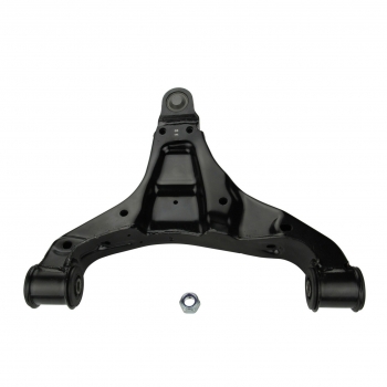 Suspension Control Arm and Ball Joint Assembly