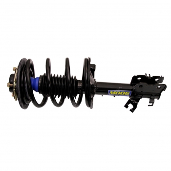 Suspension Strut and Coil Spring Assembly