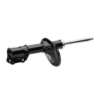 Suspension Strut Assembly