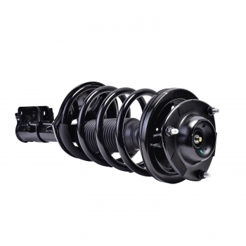 Suspension Strut and Coil Spring Assembly