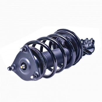 Suspension Strut and Coil Spring Assembly