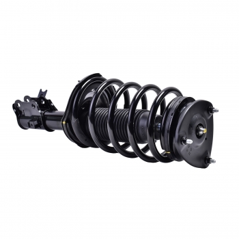 Suspension Strut and Coil Spring Assembly