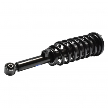 Suspension Strut and Coil Spring Assembly