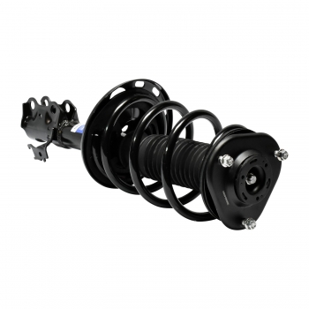 Suspension Strut and Coil Spring Assembly
