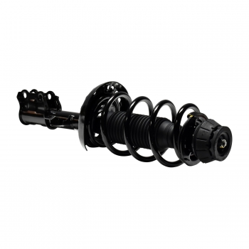 Suspension Strut and Coil Spring Assembly