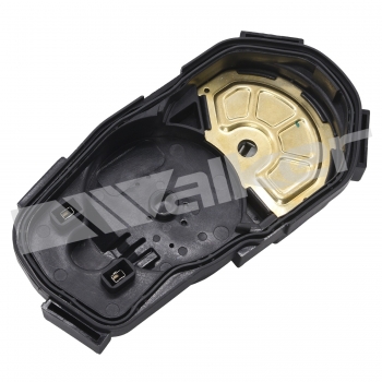 Throttle Position Sensor