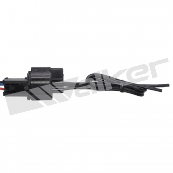 Engine Crankshaft Position Sensor