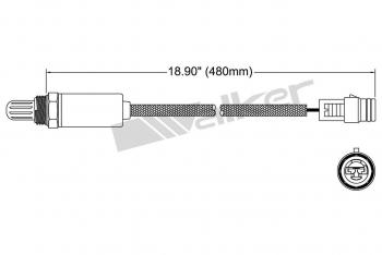 Oxygen Sensor