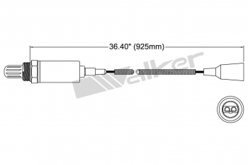 Oxygen Sensor