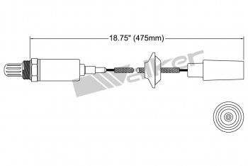 Oxygen Sensor