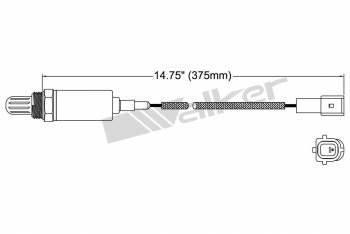 Oxygen Sensor