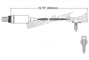 Oxygen Sensor