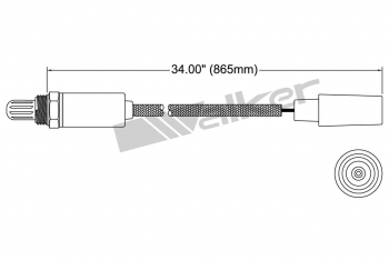 Oxygen Sensor