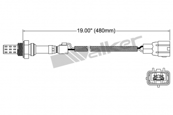 Oxygen Sensor
